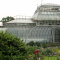 В Петербурге необходима реконструкция Ботанического сада 